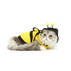 a cat wearing a bee costume laying on the ground