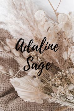 some dried flowers and the words alpine sage