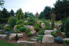 a garden with rocks and flowers in it