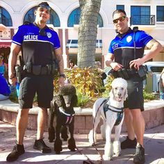 two police officers standing with their dogs on the sidewalk in front of a building and palm tree