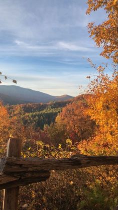 a wooden fence sitting in the middle of a forest filled with lots of fall leaves