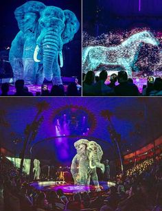 an elephant standing on top of a stage next to another elephant in front of a crowd