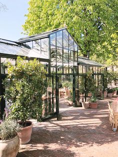 an outdoor dining area with potted plants and glass buildings in the background, surrounded by greenery