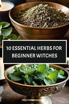 Discover the powerful world of herbal magic with this curated collection of herbs perfect for beginner witches. Whether you're interested in kitchen witchery, spiritual herbs, or green witchcraft, these magical herbs are sure to enhance your practice. Create your own Witch's garden and explore the art of herbal rituals with these beginner witch tips. From herb-focused manifestation practices to incorporating them into daily spells, embrace the wonders of herbal magic on your journey as a budding Herbs For Power Witchcraft, Herb Guide For Witches, Must Have Herbs For Witches, Herbs For Beginner Witches, Daily Spells, Basic Witch Herbs, Herbs For Beginners, Magickal Herbs Herbal Magic, Beginner Witch Tips