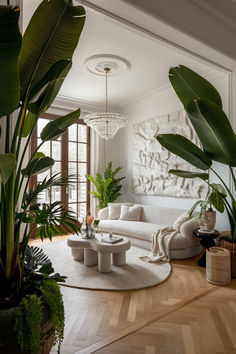 decoración de casa con plantas Houseplant Styling, Atrium Ideas, Cheap House, Outdoor Comfort, House Plants Decor, Funky Furniture, Green Rooms, House Plants Indoor, Dream Home Design