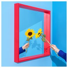 two people holding sunflowers in front of a blue and red frame on the wall