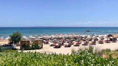 the beach has many umbrellas and chairs on it