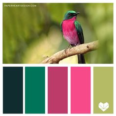 a bird sitting on top of a tree branch with color swatches in front of it