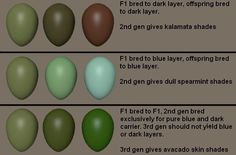 an image of different shades of eggs