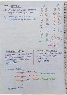 Hemizygous recessive allele hand written notes by sir asad Chemistry Education, Study Corner