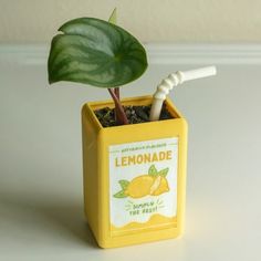 a small yellow lemonade box with a toothbrush in it and a green leaf