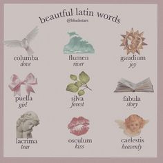 an image of beautiful latin words