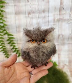 a tiny owl sitting on top of someone's hand