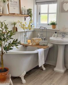 a white bath tub sitting under a window next to a sink and a tree in a vase