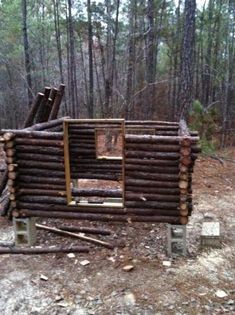 a pile of logs sitting in the middle of a forest