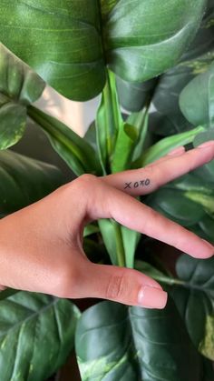 a person's hand with the word x on it, in front of a potted plant