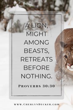 a cougat running through the snow with a quote above it that reads, a lion, might among beasts, rereats, before nothing