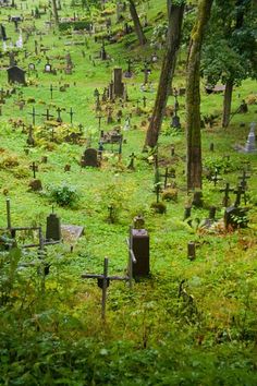 an old cemetery with many headstones in the grass and trees on both sides, surrounded by green foliage