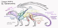 a drawing of a dragon with different parts labeled on it's body and neck