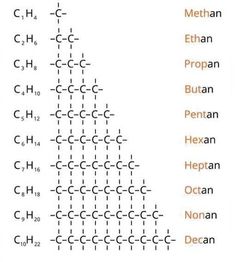 the names of different types of carbons are shown in this diagram, which shows how many