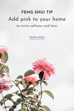 pink roses with green leaves against cloudy white sky Feng Shui Fame Area Decor, Feng Shui For Love Relationships, Feng Shui For Beginners, Feng Shui Health Area, Feng Shui Consultant, Feng Shui Helpful People Area, Feng Shui Basics, Room Feng Shui, Feng Shui Guide