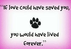 a blue background with an image of a dog's paw and the words if love could have saved you, you would have lived forever