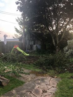 a tree that has fallen down on the ground in front of a house with a kite stuck to it