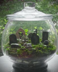 a glass bowl filled with moss and rocks on top of a table next to trees