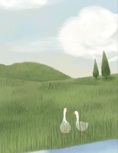 two geese are walking in the grass near water