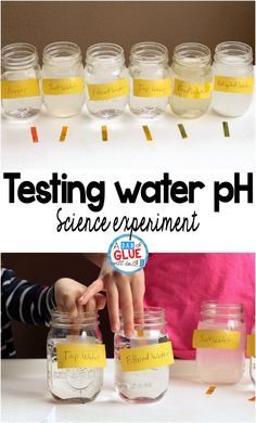 the science experiment shows how to test water in jars and put labels on them for each student