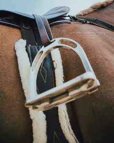 a close up of a horse's bridle and reins