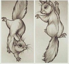 three different pictures of squirrels with their tails in the air