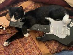 a black and white cat laying on top of a guitar