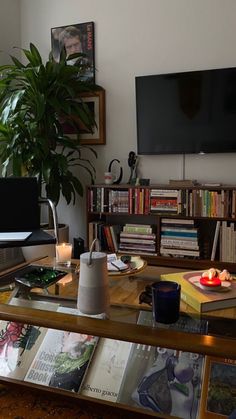 a living room filled with furniture and a large potted plant on top of a glass table