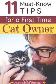 a man holding a cat with the title 11 must - know tips for a first time cat owner