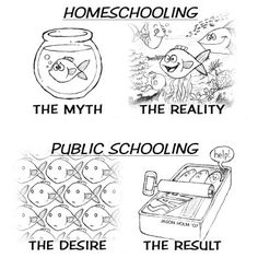 so true Homeschooling Activities, Public School, White, Black