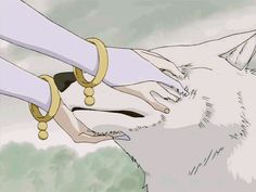 a white wolf being petted by someone with gold rings on it's ears