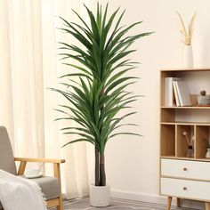 PRICES MAY VARY. 【Lifelike Appearance】Carefully crafted to mimic the appearance of a real live dracaena plant,looking as close to reality as possible, perfect for any room or office decor. Three corn stalks adorned with 96 slender leaves, clearly textured leaves and vivid color makes this faux dracaena tree a timeless home decor for all seasons and will definitely make you feel the existence of nature. 【Stay Green All Year Round】Artificial trees will not wither or die because of the changes of s Large Fake Plants, Yucca Tree, Dracaena Plant, Yucca Plant, Corn Plant, Silk Tree, Floor Plants, Faux Tree, Silk Plants