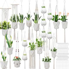 white macrame plant hangers with plants in them