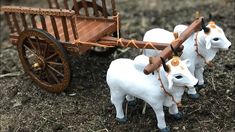 two small white cows pulling a wooden wagon with brown wheels on the ground in an open field