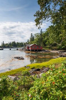 a red house sitting on top of a lush green field next to the ocean and trees