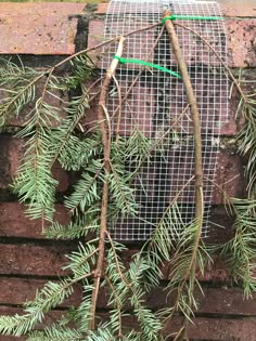 a birdcage that is sitting on top of a brick wall next to some branches