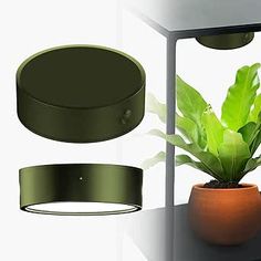 a potted plant sitting on top of a table next to a round light fixture