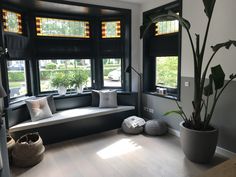 a living room filled with lots of windows next to a potted plant on top of a wooden floor