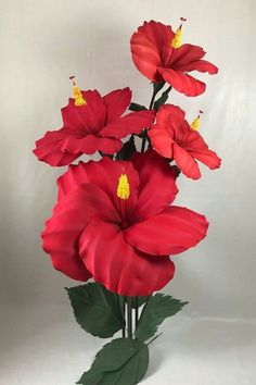 some red flowers are in a vase on a white background