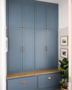 a large blue cabinet in the corner of a room with some plants on top of it