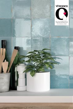 a potted plant sitting on top of a counter next to knives and spatulas