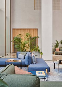 a living room filled with furniture and plants