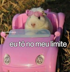 a hamster in a toy car with the caption saying, sai da frente eu to no meu limitie