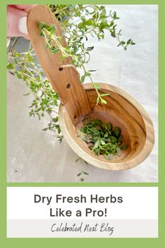 a wooden spoon with herbs in it and the words dry fresh herbs like a pro